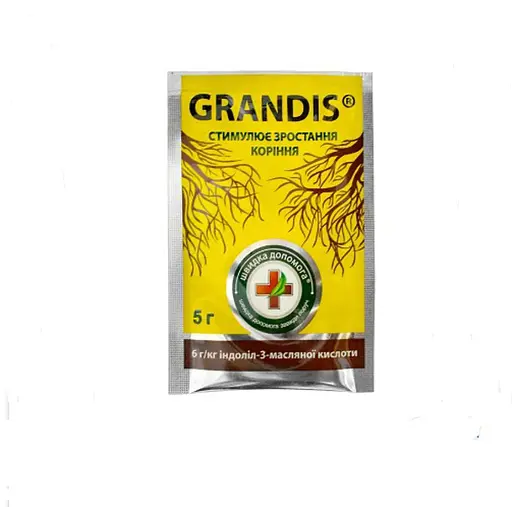 Grandis R 6гр