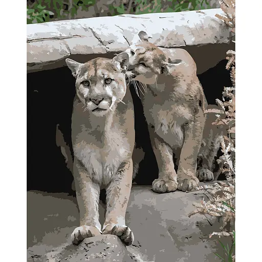 Набір для розпису по номерах Грайливі пуми, Strateg, 40x50 см, DY122