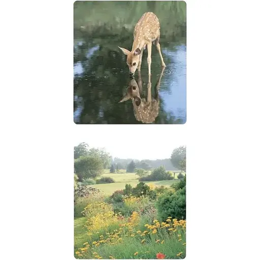 Стикерпак Cobart 3D "Comfort zone"