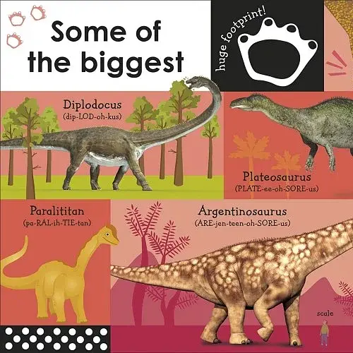 100 First Dinosaur Words - фото 2