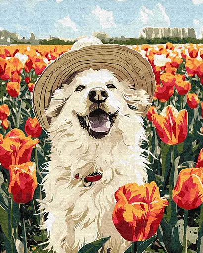 Набор для росписи по номерам Счастливый лабрадор, 40x50 см, КНО6623