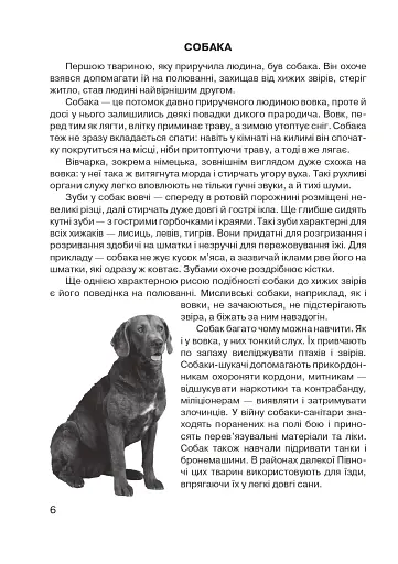 Царство свійських тварин - фото 7