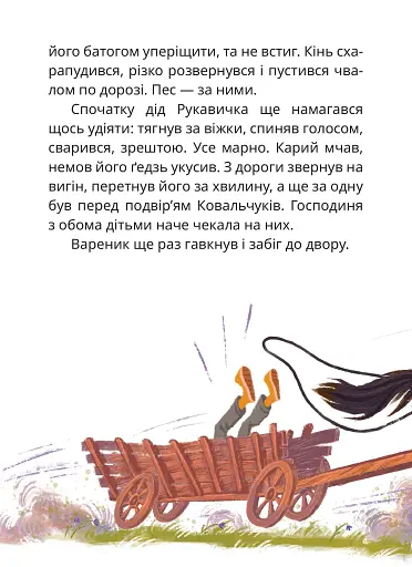 Мері - фото 13