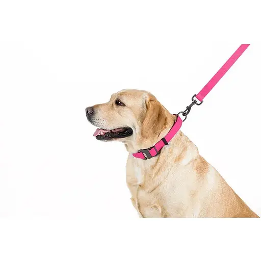 Повідець для собак Waudog Waterproof водостійкий M, рожевий - фото 4