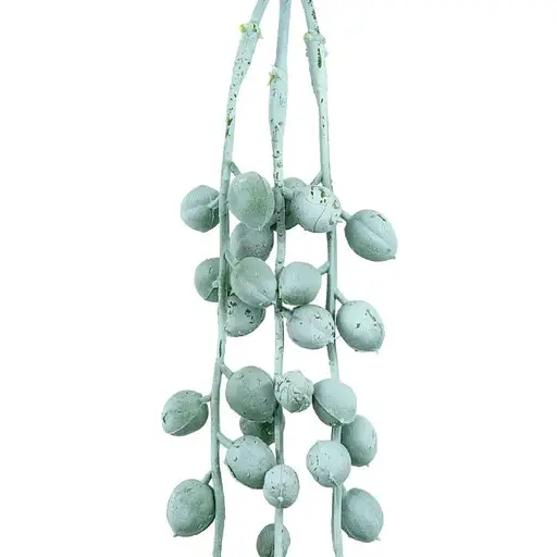 Штучна гілка Engard Хрестовник 70 cм (TW-49) - фото 3