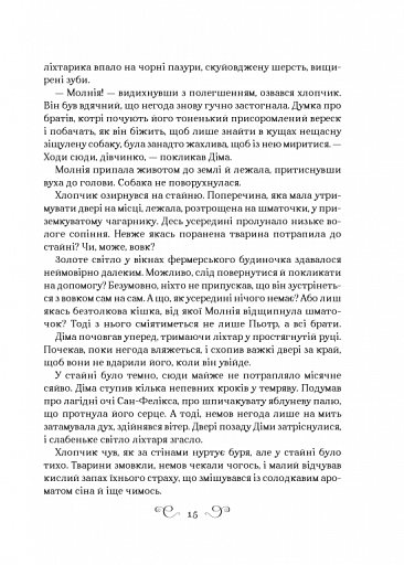 Король шрамів - фото 8