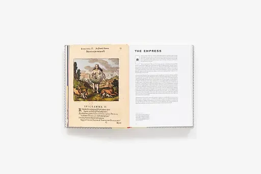 Tarot and Divination Cards: A Visua - фото 7