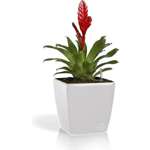 Цветник Plastkon Quadrato Flower Lover со оросительной системой белый (23195) - фото 2