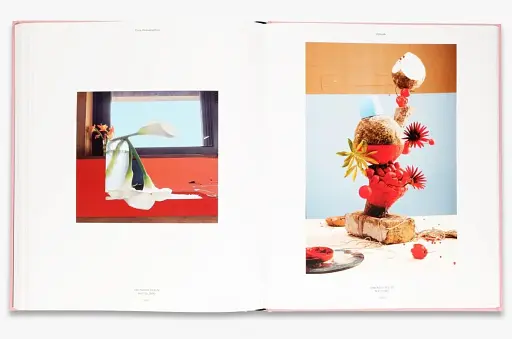 Flora Photographica: The Flower in Contemporary Photography - фото 5