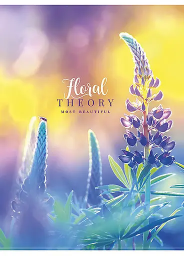 Комплект 4 шт загальних зошитів. Зошит Школярик А5 80 арк. у лінію 5065 4823088207774 - фото 5