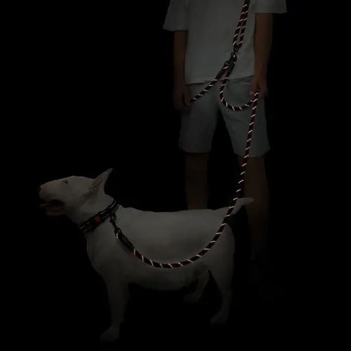 Поводок для собак Barksi Свободные руки светоотражающий 240х0.9 см черно-оранжевый - фото 6