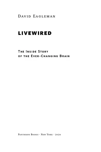 Секрети нейропластичності. Як мозок адаптується до нових викликів. Девід Іґлмен - фото 7