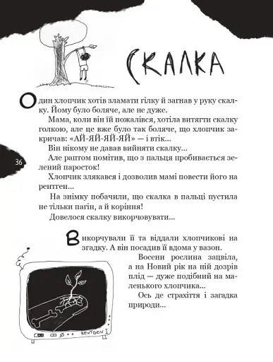 Страшенно-хуліганська книжка - фото 4