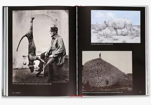 Why We Photograph Animals - фото 7