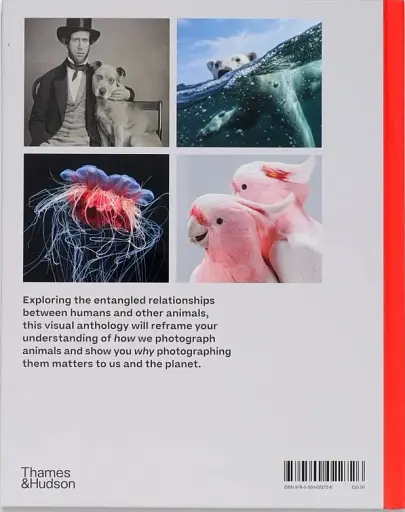 Why We Photograph Animals - фото 2