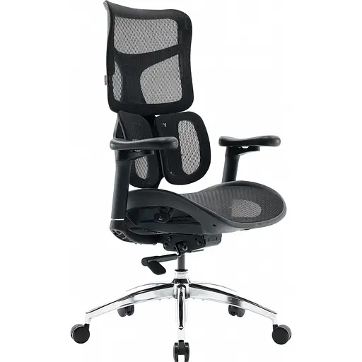 Офисное кресло Sihoo DORO S100 Mesh Black (S100-M301) [148688] - фото 2