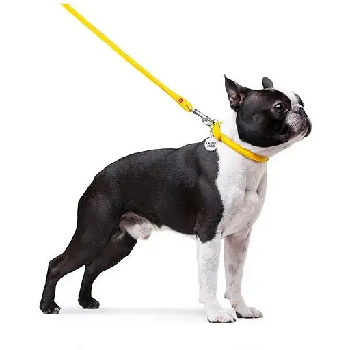 Повідець для собак Waudog Glamour шкіряний круглий, жовтий - фото 3