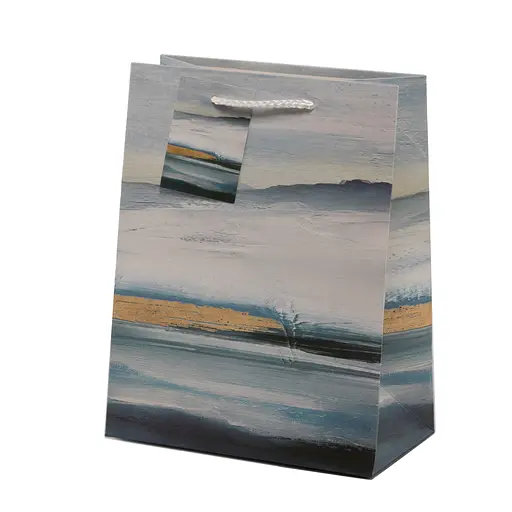 Подарочный пакет 18*23*10 М, 3301