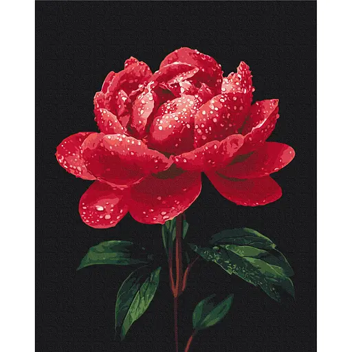 Картина по номерам "Півонії в сяйві роси" BS54148, 40х50 см