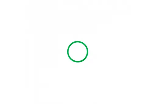 Ущільнювальне кільце Presto-PS для адаптерів, пістолетів, зрошувачів (4202) 100 штук - фото 4