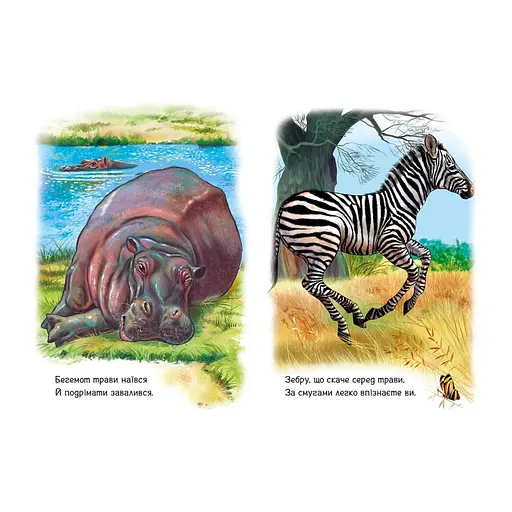 Малышам о зверятах "Животные мира" 212014 сборник с аудиосопровождением - фото 3