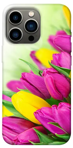 TPU чохол Барвисті тюльпани - фото 1