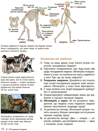 Історія України. Всесвітня історія. 6 клас. Підручник - фото 9