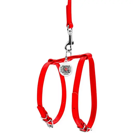 Шлея з повідцем для собак Waudog Glamour шкіряна з QR паспортом, червоний - фото 2