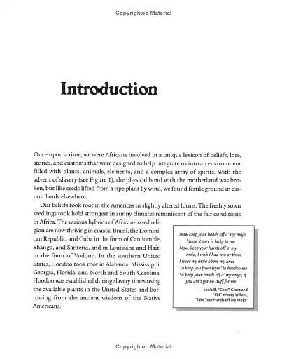 Sticks, Stones, Roots Bones: Hoodoo, Mojo Conjuring with Herbs - Stephanie Rose Bird - фото 10