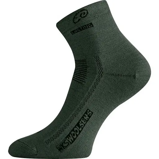 Носки Lasting WKS 620 Green M (1054-002.003.3737)