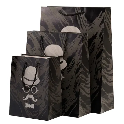 Подарочный пакет, 18*23*10, M, мужской, Bag9 - фото 8