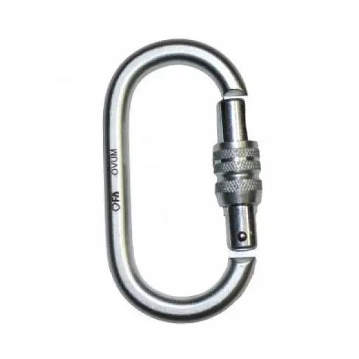 Карабін First Ascent Ovum Keylock (1060-FA 8007)