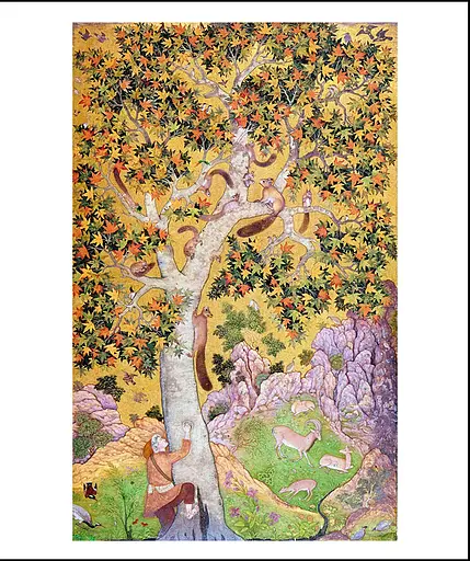 The Science of Animals - фото 22