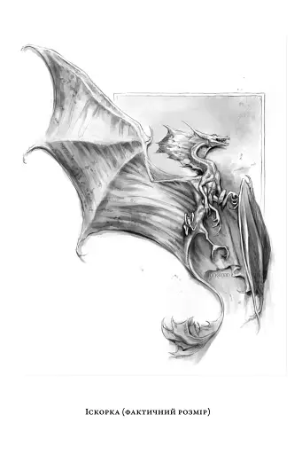 Природнича історія драконів (Limited edition) - фото 3