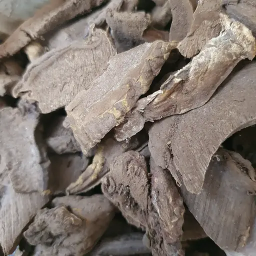 100 г рейши гриб/трутовик лакированный - свежий урожай