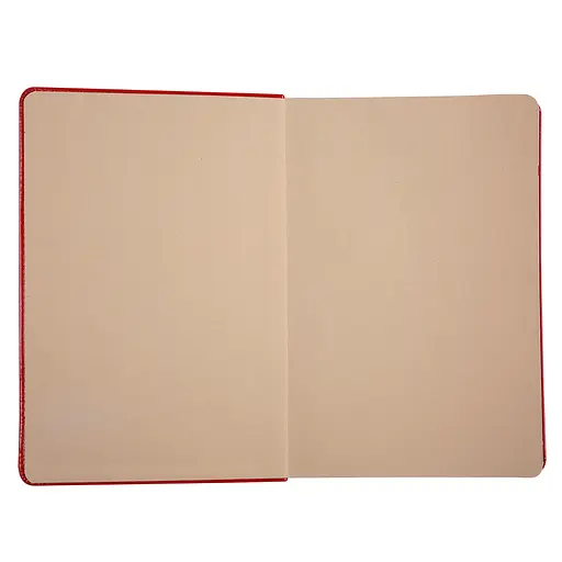 Ежедневник блокнот А5 Leo Planner датированный 2026 Aldento черный 368 страниц (252671) - фото 6