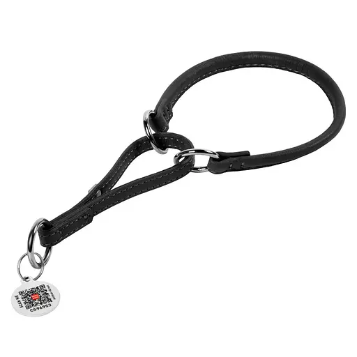 Ошейник для собак нейлоновый Waudog Nylon с QR-паспортом "Прапор" пластиковый фастекс размер XL Ш 25 мм Д 37-58 см - фото 2