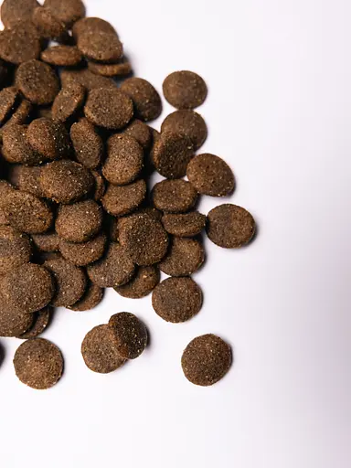 Сухой корм для собак крупных пород Savory Large Breeds rich in Fresh Turkey & Lamb со свежим мясом индейки и ягненка 12 кг - фото 4