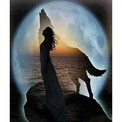 Алмазна вишивка на підрамніку 40 * 50 см повна викладка Ехо 40 * 50 см - фото 1