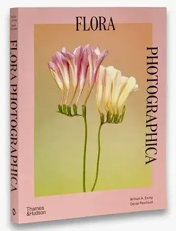 Flora Photographica - фото 2