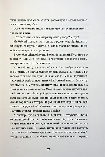 Я не знаю, як про це писати. Збірка оповідань та есеїв - фото 18