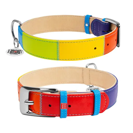 Нашийник для собак шкіряний Waudog Glamour з QR-паспортом "Веселка" M Ш 20 мм Д 30-39 см
