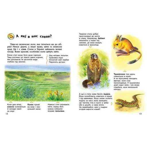 Дитяча книжка "Енциклопедія дошкільника. Україна" Ранок 614044 - фото 3