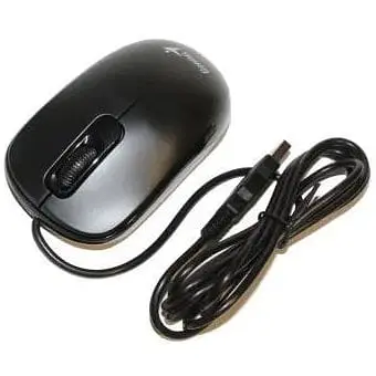 Мышь Genius DX-110 черный USB оптическая 1000 dpi 3 кнопки 1.5 м - фото 1