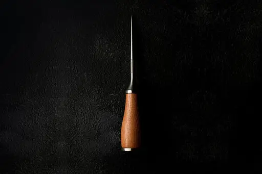 Піка для льоду Ice Pick - фото 2