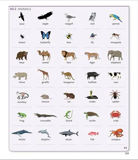 English for Everyone 3. Intermediate Course Book: A Complete Self-Study Programme - фото 8