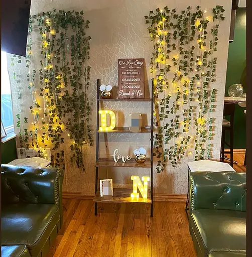 Гирлянда-штора с листьями плюща SunLamp 3×2 м, 200 LED, USB, с пультом - фото 6