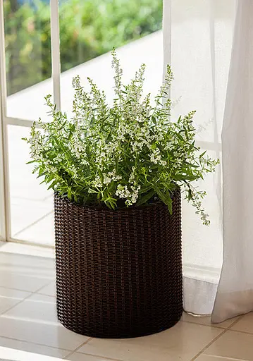 Горшок для цветов Keter 7 л Cylinder Planter Small коричневый - фото 2