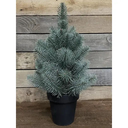 Ялинка Hvoya Premium лита у горщику 50 см блакитна - фото 7