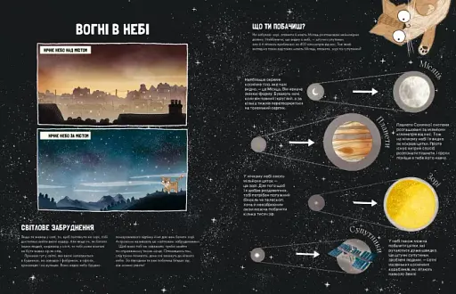 Котячий путівник нічним небом - фото 4